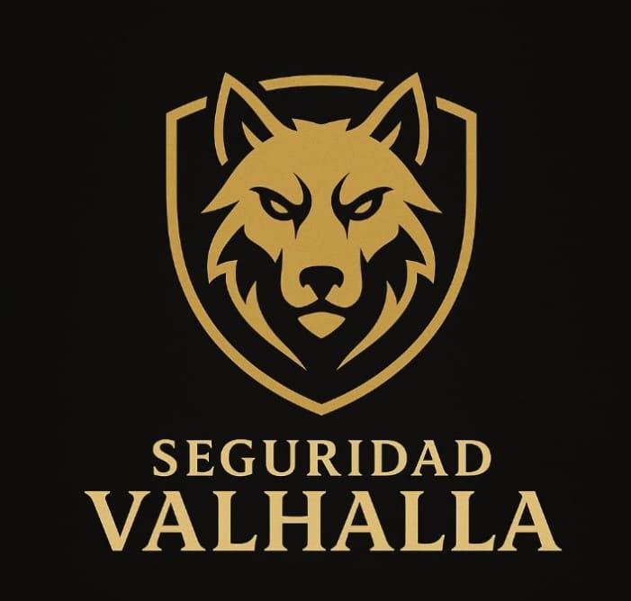 seguridadvalhalla.cl